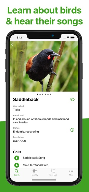 Bird Nerd NZ(圖3)-速報App