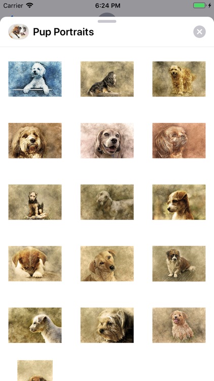 Pup Portraits screenshot-5