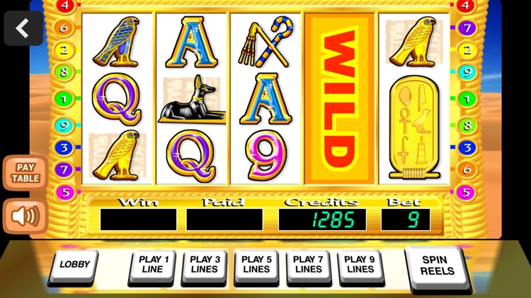 Fun Casino Slots screenshot-3