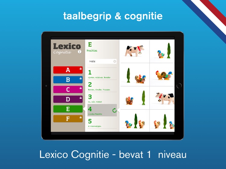 Lexico Cognitie