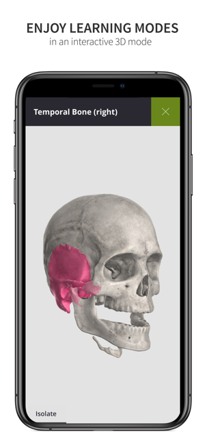 Anatomyka Skeleton(圖8)-速報App