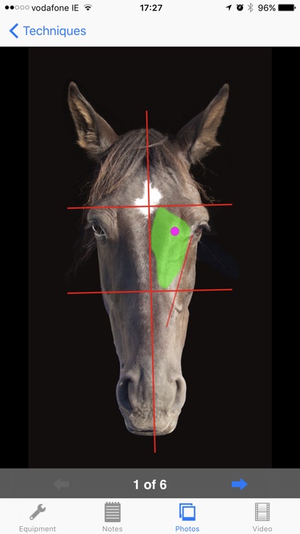 EVA: Equine Techniques