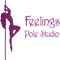 Приложение для клиентов студии танца Feelings Pole Dance г