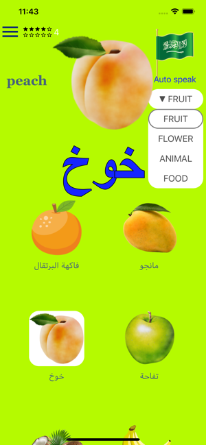 Emilia Arabic(圖1)-速報App