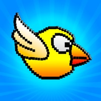Coole Vögel - Abenteuer Spiele apk