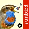 Get Chants d’oiseaux automatique for iOS, iPhone, iPad Aso Report