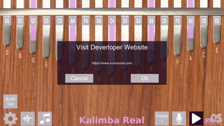 Kalimba Real screenshot-8