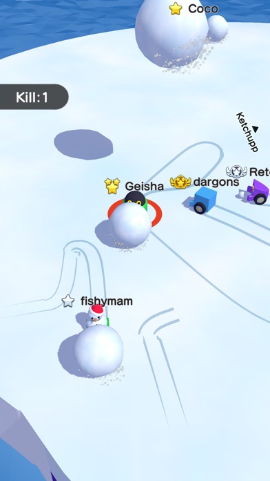 Snowball.io™ screenshot1