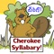 Learn to recognize each of the Cherokee Syllabary letters