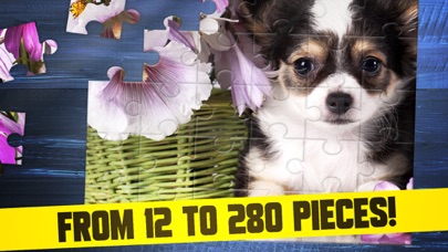 Cute Dogs Puppy Jigsaw Puzzle screenshot 2