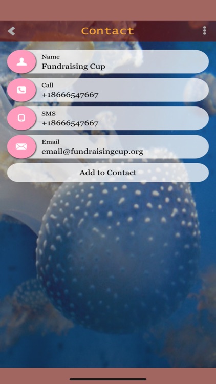 Fundraising Cup screenshot-4