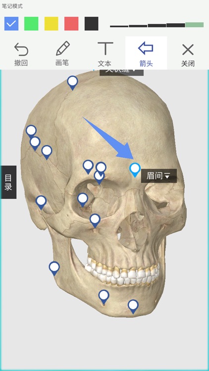 人卫3D系统解剖学 screenshot-4