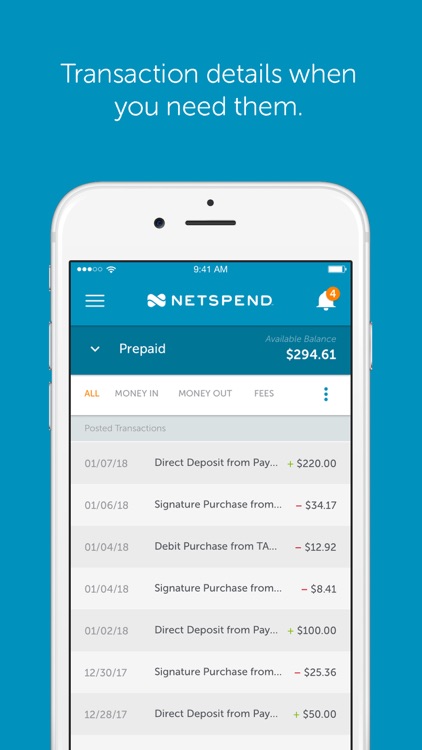 Netspend screenshot-3