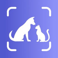 Dog Pal app not working? crashes or has problems?