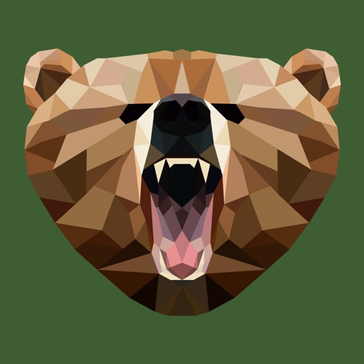 Grizzly VPN - Best Hotspot VPN