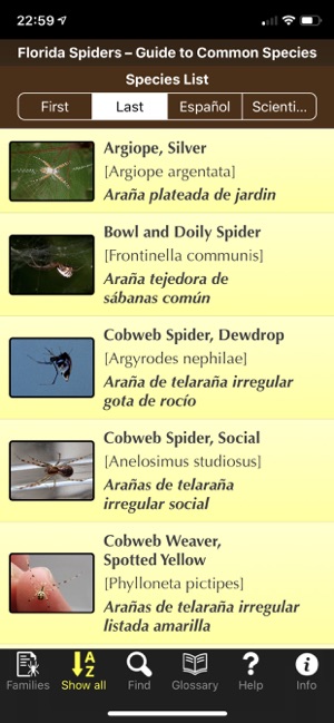 Florida Spiders(圖5)-速報App