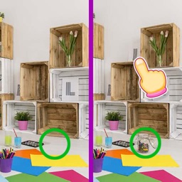 Find Differences Puzzle Game