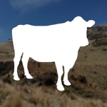 Farmers Grazing Calculator