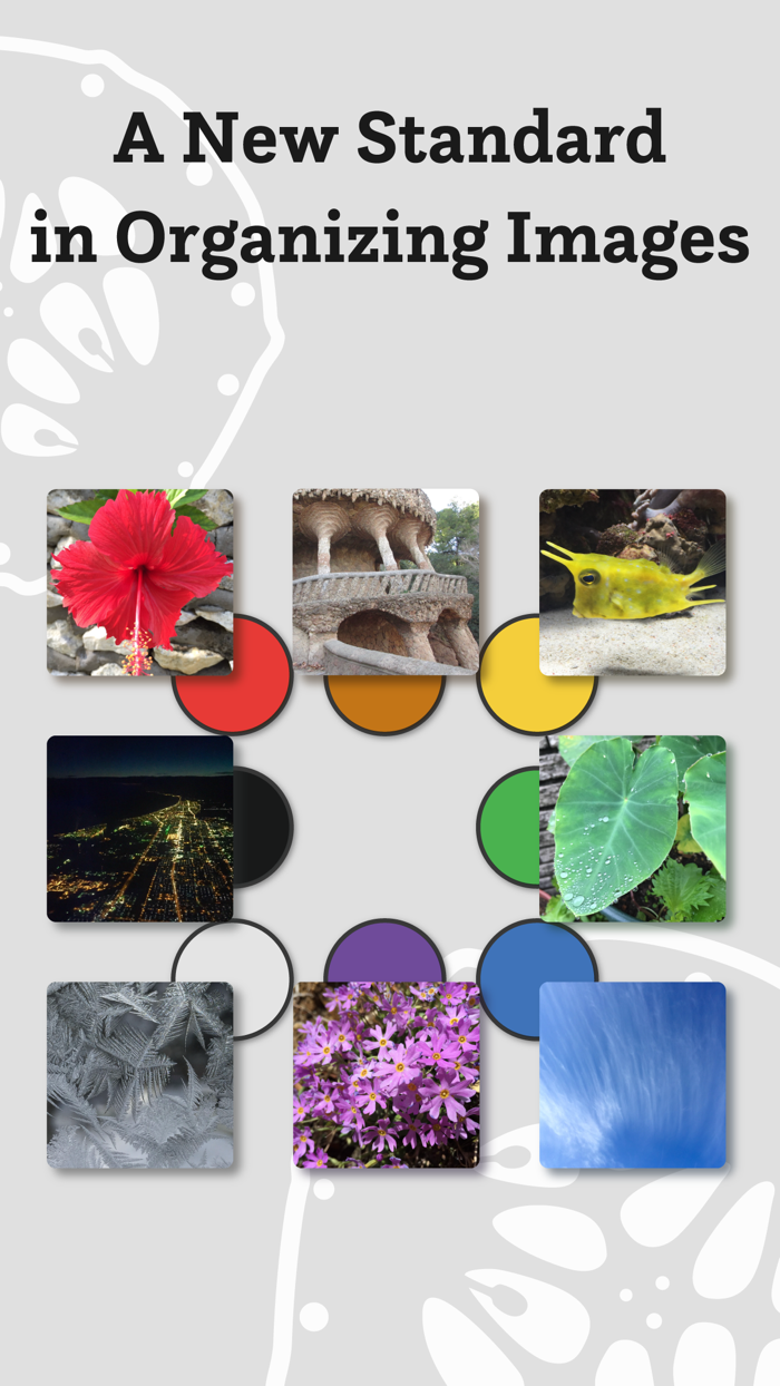 ByColor-sort photos by color