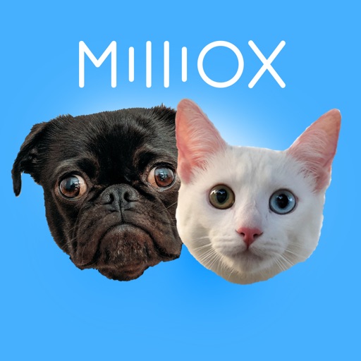 Milliox Kitty And Puppy