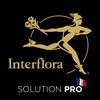 Interflora Fleuriste Interflora Fleuriste