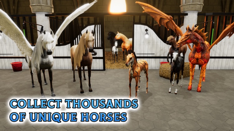 Horse Academy screenshot-4