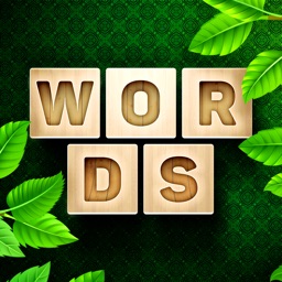 Find Words Game