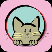 Cat Lady - The Card Game