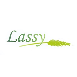 Lassy