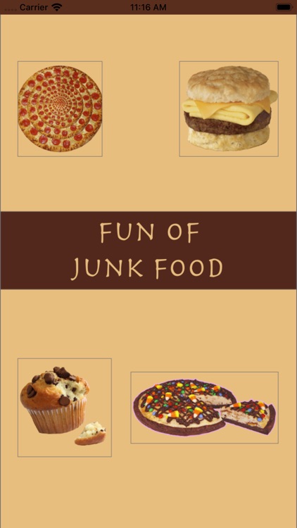 Fun Of JunkFood