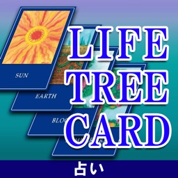 世界熱望占い師【WAKANA】LIFE-TREE CARD