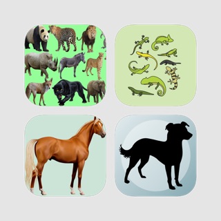 Animals Quiz Bundle