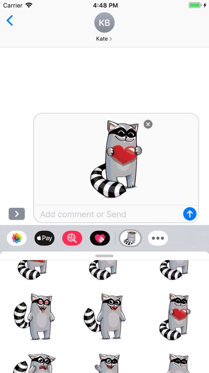 Racoon Stickers Pack screenshot-8