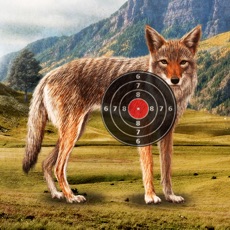 Activities of Coyote Target Shooting