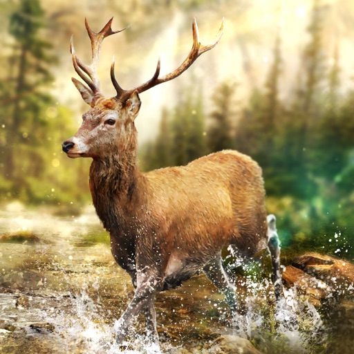 Hunting Clash: Hunter World