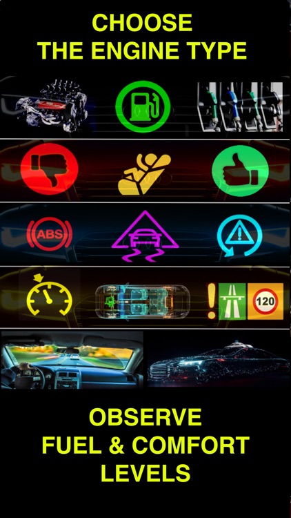 Dr. Falcon Driving Safety