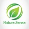 The Nature Sense was founded in 2007, which carries the fusion concept of reflexology massage & spa treatment with 5 star facilities