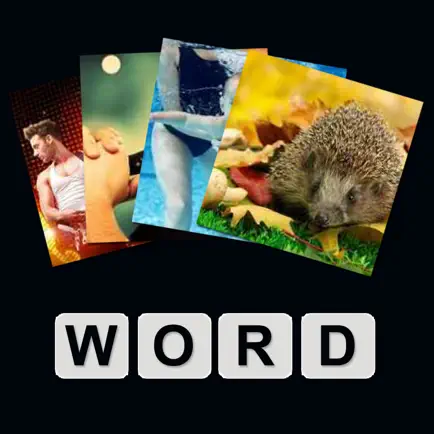 What's Word Читы