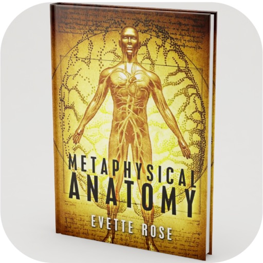 Metaphysical Anatomy