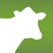 The Dairy Health Check app gives you instant, accurate cow health data—right in the palm of your hand