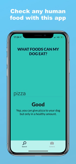 Foods dogs can eat(圖1)-速報App