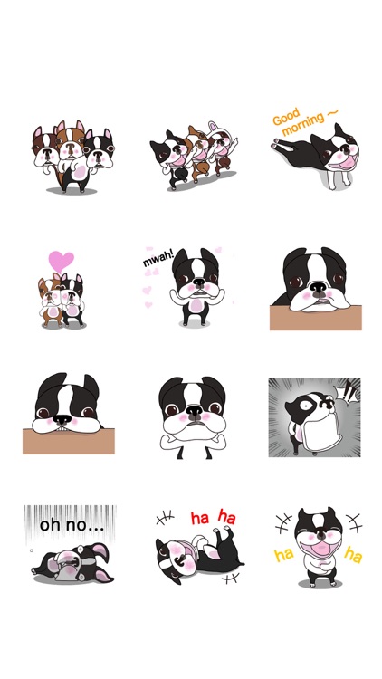 Animated Boston Terrier 1 screenshot-4