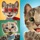 Little Kitten App Bundle for Kids! (3 apps)