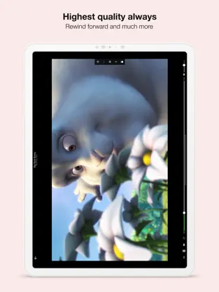 Imatge 2 SoPlayer Smart IPTV Stv Player iphone