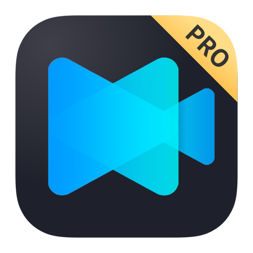 Filmage Screen Pro - Recorder