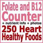 Folate and B12 Counter & Tracker for Healthy Diets