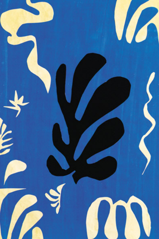 Matisse 129 Paintings HD 120M+ screenshot 3
