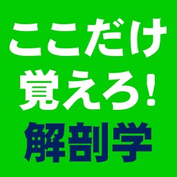 ここだけ覚えろ！解剖学CHOICE