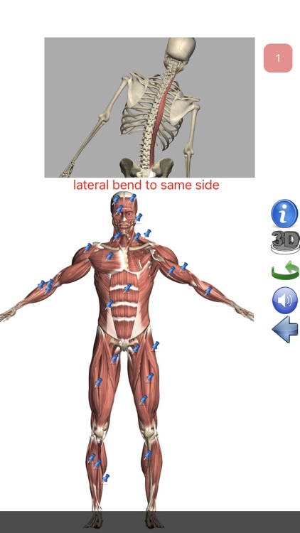 Visual Anatomy Lite screenshot-8