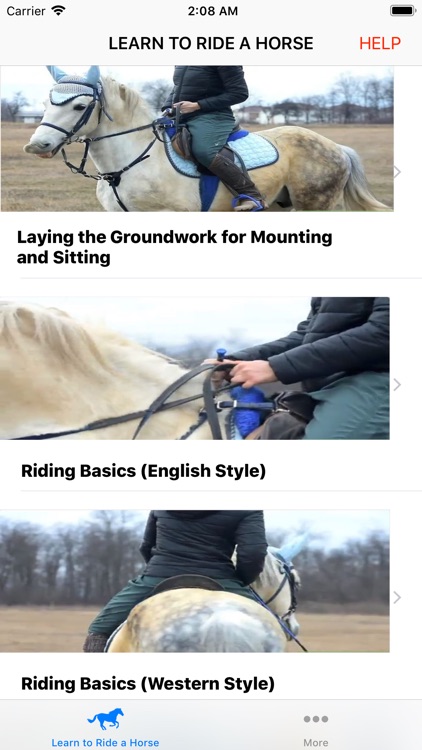 Learn to Ride a Horse